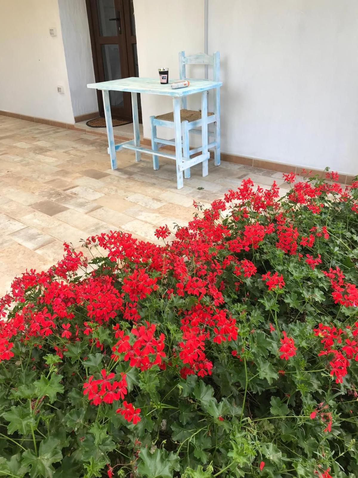 La Fragola In Campagna 6 K M Da San Pantaleo酒店 外观 照片